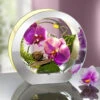Beleuchtete Orchidee Im Glas -Heim Schmücken Geschäft beleuchtete orchidee im glas farbe lavendel