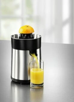 Elektrische Zitruspresse Von WMF