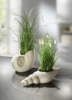 Grasbusch Aus Kunstmaterial In Muschel -Heim Schmücken Geschäft grasbusch aus kunstmaterial in muschel farbe gruen creme 1