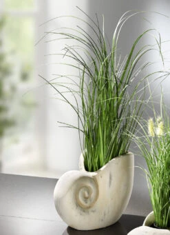 Grasbusch Aus Kunstmaterial In Muschel -Heim Schmücken Geschäft grasbusch aus kunstmaterial in muschel farbe gruen creme 2