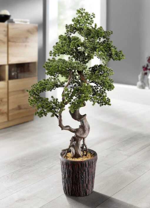 Lärchen-Bonsai Im Magnesiatopf