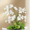 Orchideen-Gesteck In Schale -Heim Schmücken Geschäft orchideen gesteck in schale farbe weiss