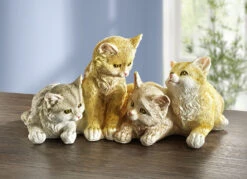 Schmusende Kätzchen