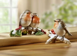 Vogel Des Jahres 2021